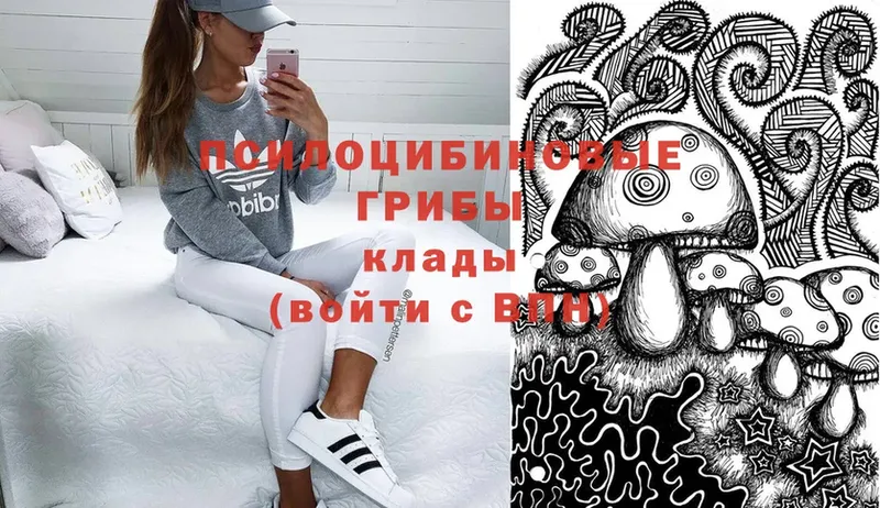 Галлюциногенные грибы Psilocybine cubensis Орск